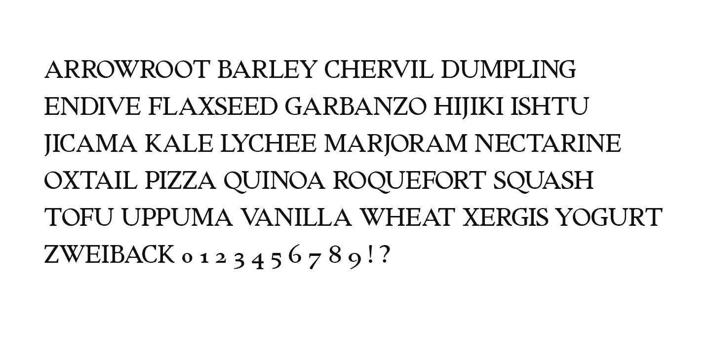 Traditional Roman Serif Font